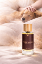 Waggleo Almost Caramel Pet Perfume – Long-Lasting Sweet Deodorizer for Dogs & Cats