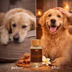 Waggleo Almost Caramel Pet Perfume – Long-Lasting Sweet Deodorizer for Dogs & Cats