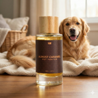 Waggleo Almost Caramel Pet Perfume – Long-Lasting Sweet Deodorizer for Dogs & Cats